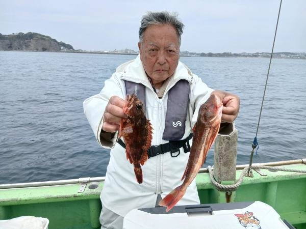 カサゴ・ホウボウ