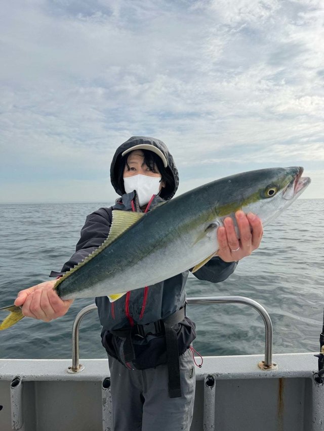 ワラサ(ブリ)