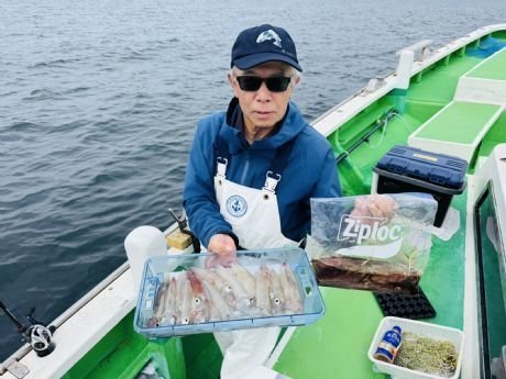 マルイカ(ケンサキイカ)