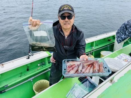 マルイカ(ケンサキイカ)