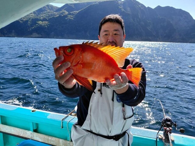 キントキ(チカメキントキ)