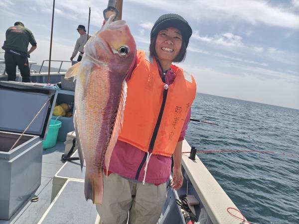 アマダイ(アカアマダイ)