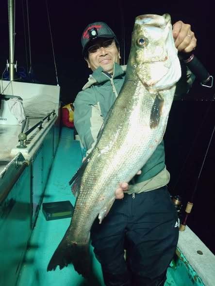 シーバス(スズキ)