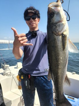 シーバスの釣果写真