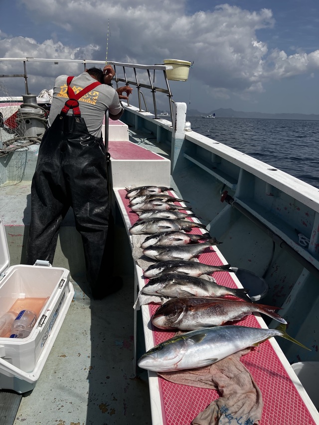 クロダイ・イナダ(ブリ)