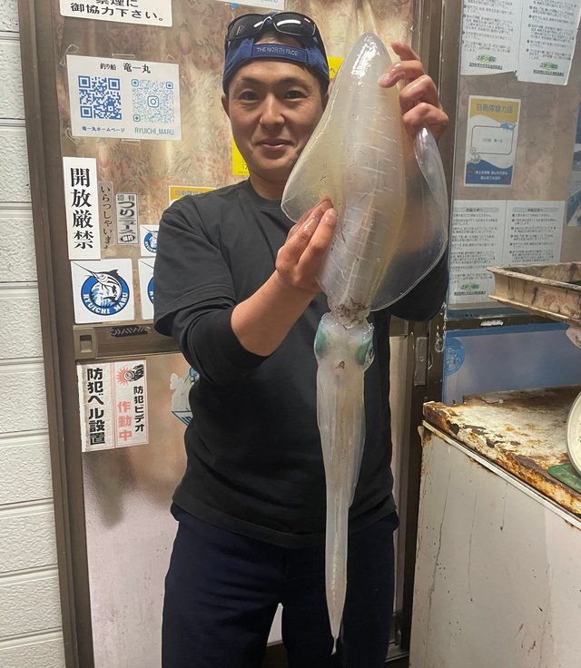 アオリイカ