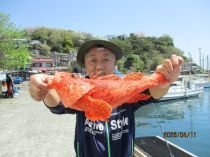 オニカサゴ