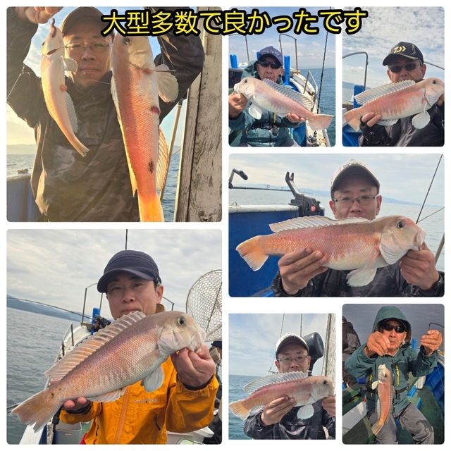 シロアマダイ