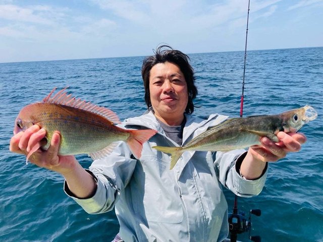 ハナダイ(チダイ)・アジ(マアジ)