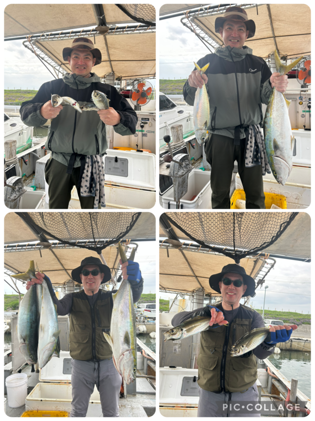 アジ(マアジ)・ハマチ(ブリ)・メジロ(ブリ)・マサバ