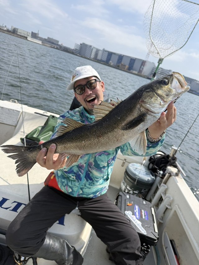 シーバス(スズキ)