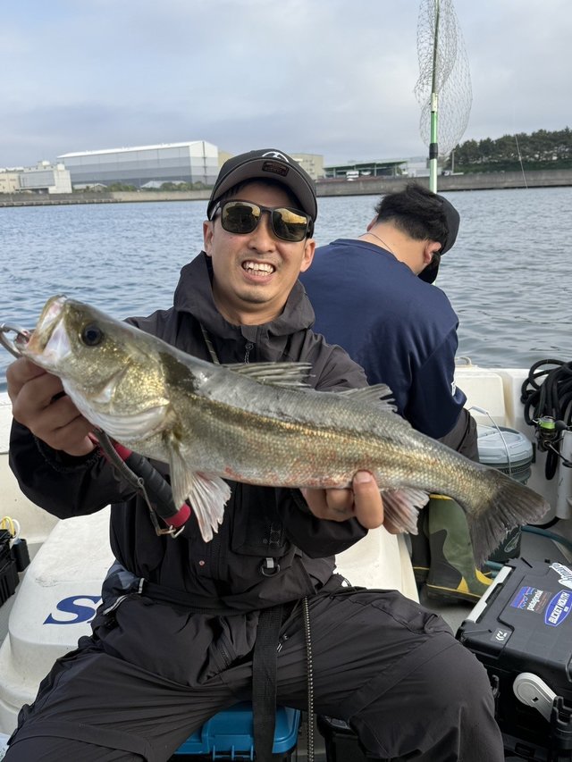 シーバス(スズキ)