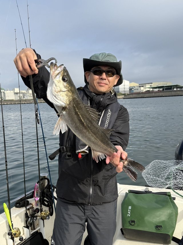 シーバス(スズキ)