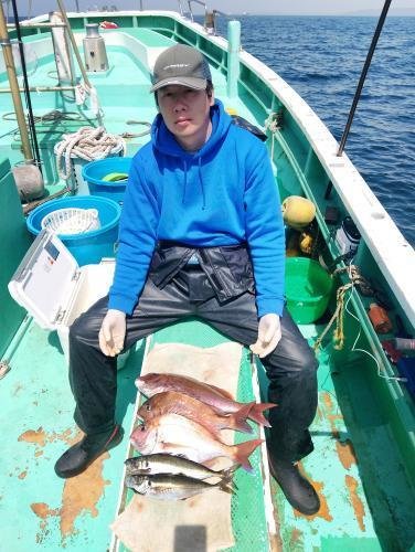 マダイ・アジ(マアジ)