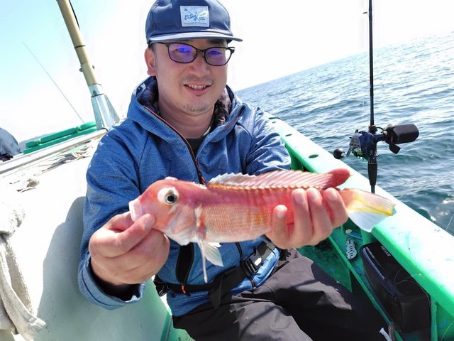 アマダイ(アカアマダイ)