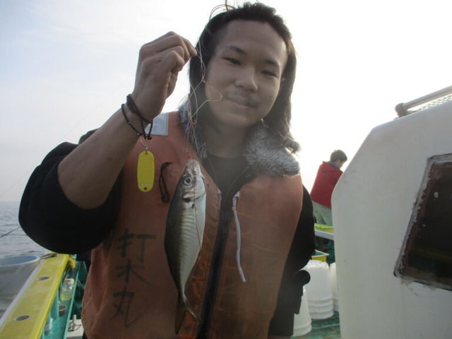アジ(マアジ)