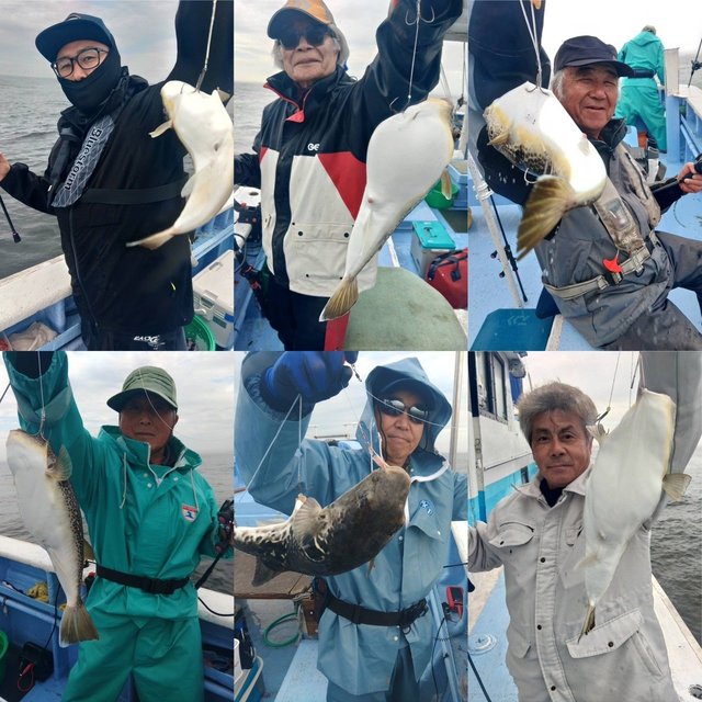ショウサイフグ