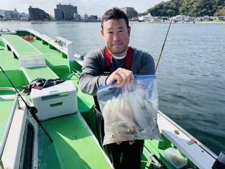 マルイカ(ケンサキイカ)