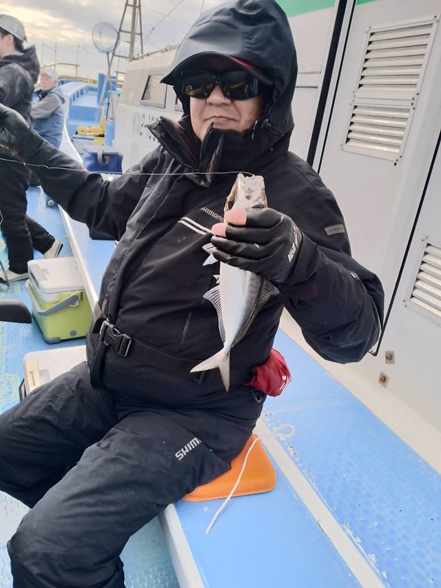 アジ(マアジ)