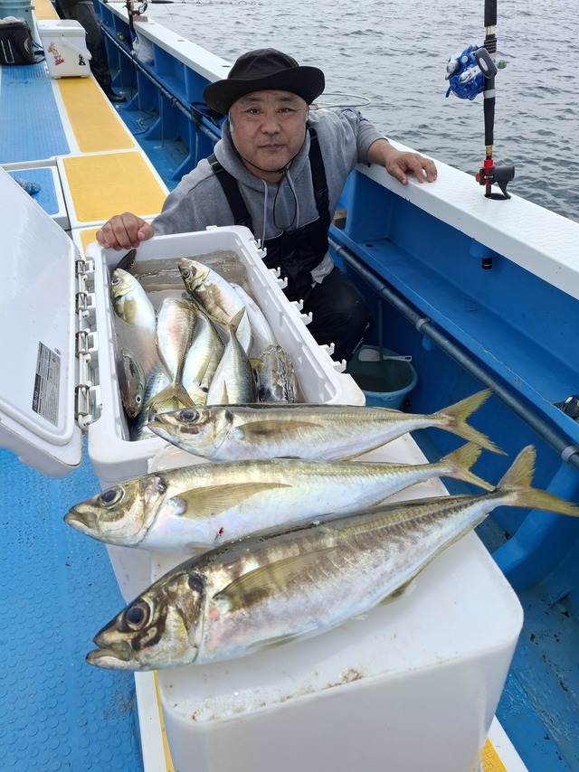 マアジ