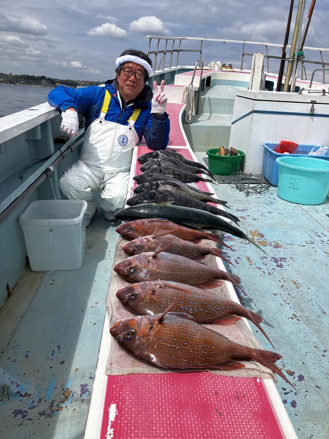 マダイ・イナダ(ブリ)