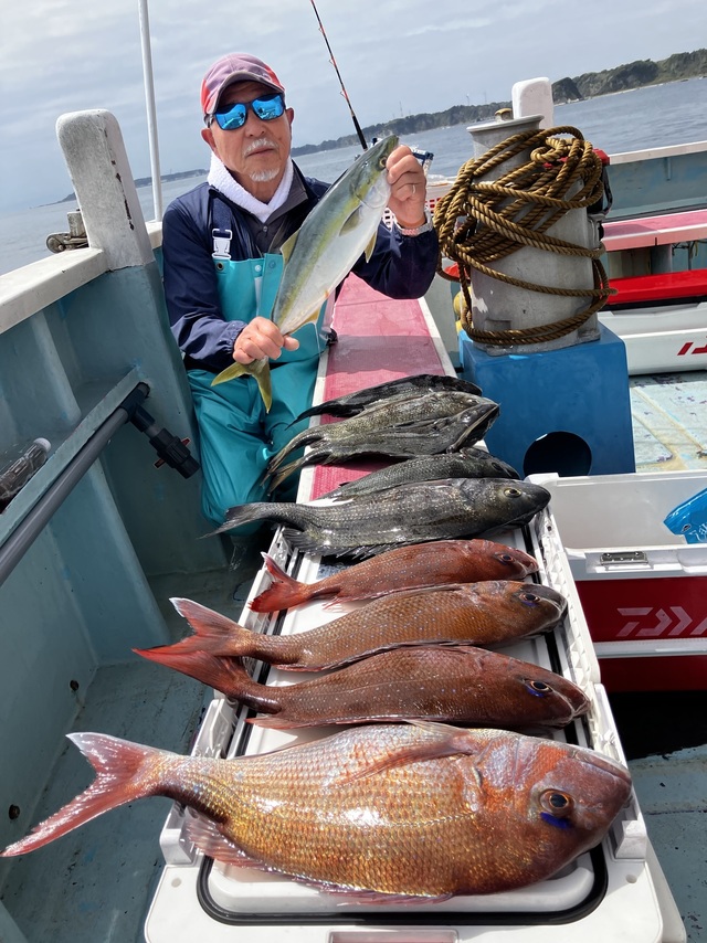 マダイ・クロダイ・イナダ(ブリ)