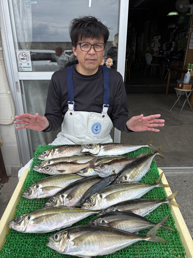 アジ(マアジ)