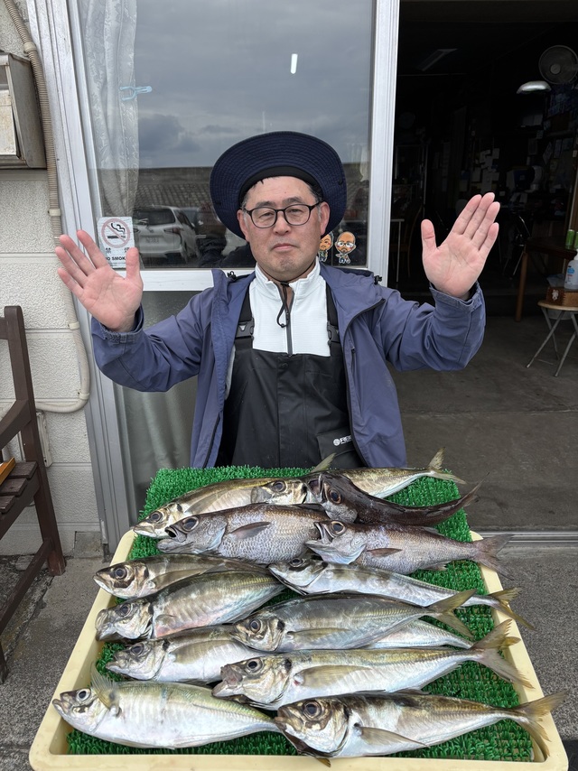 アジ(マアジ)