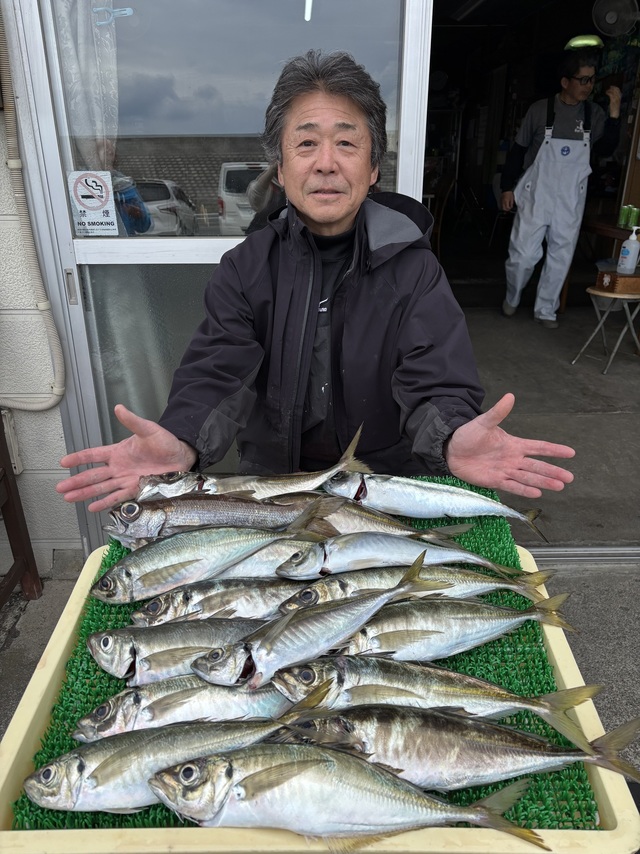 アジ(マアジ)