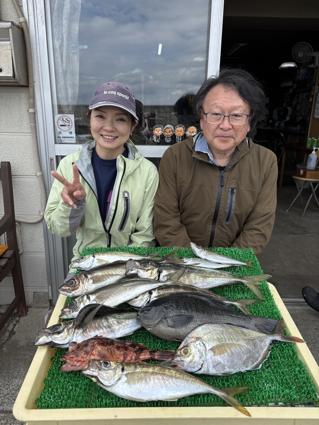 アジ(マアジ)