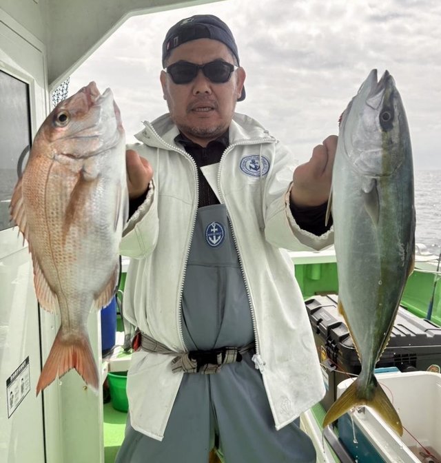 マダイ・イナダ(ブリ)