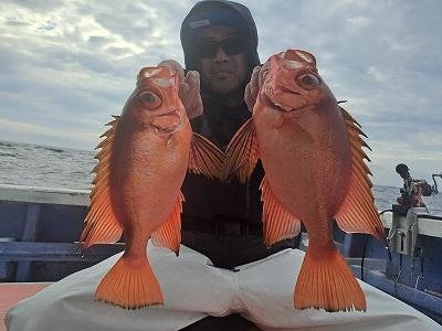 キントキ(チカメキントキ)