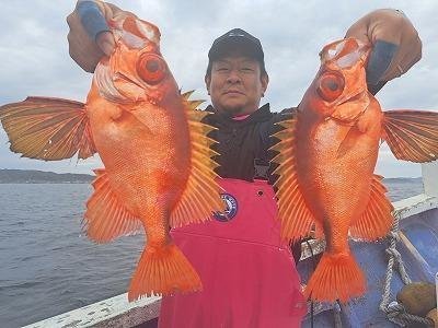 キントキ(チカメキントキ)