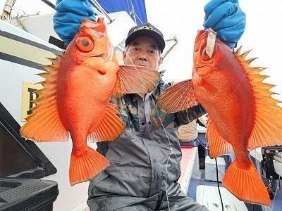 キントキ(チカメキントキ)