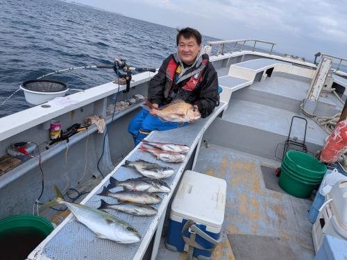 マダイ・クロダイ・イナダ(ブリ)