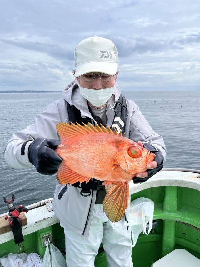 キントキ(チカメキントキ)