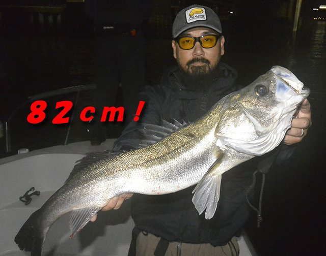 シーバスの釣果写真