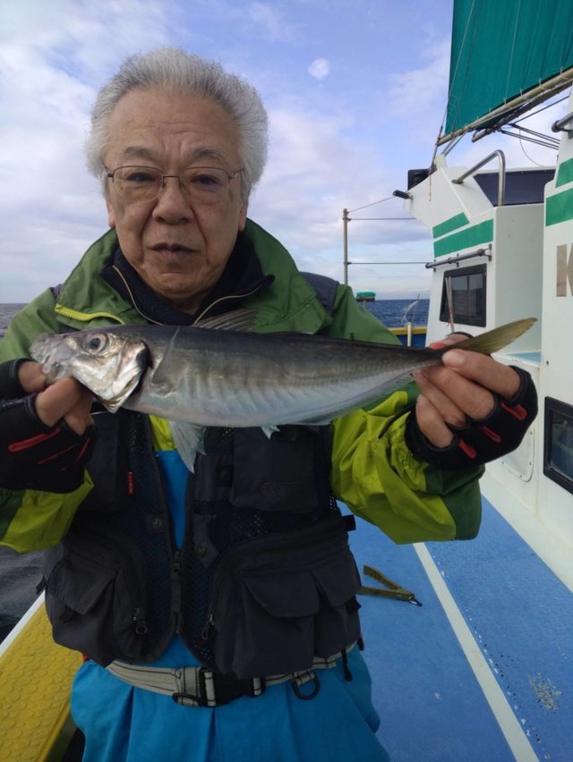 アジ(マアジ)
