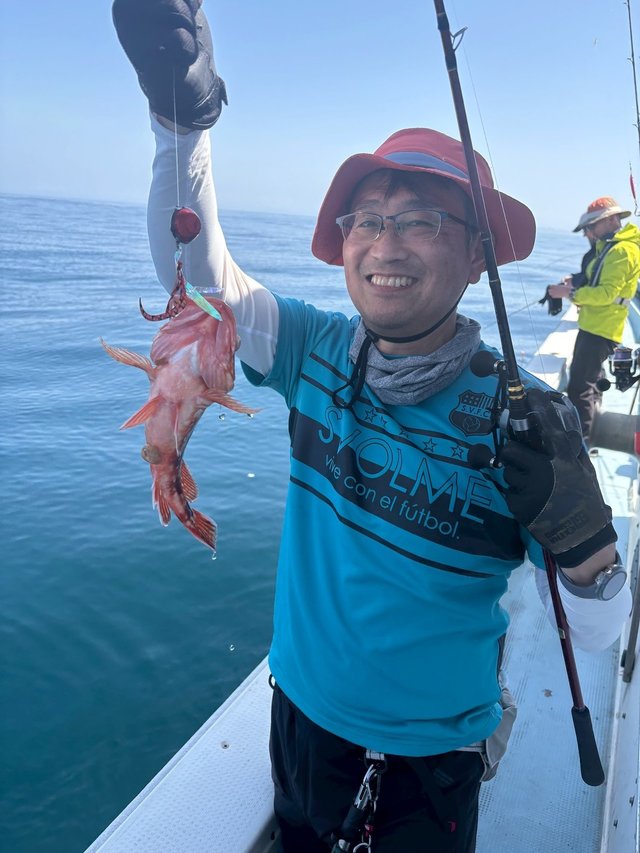 ガシラ(カサゴ)