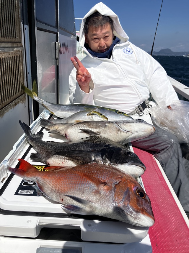 マダイ・クロダイ・イナダ(ブリ)