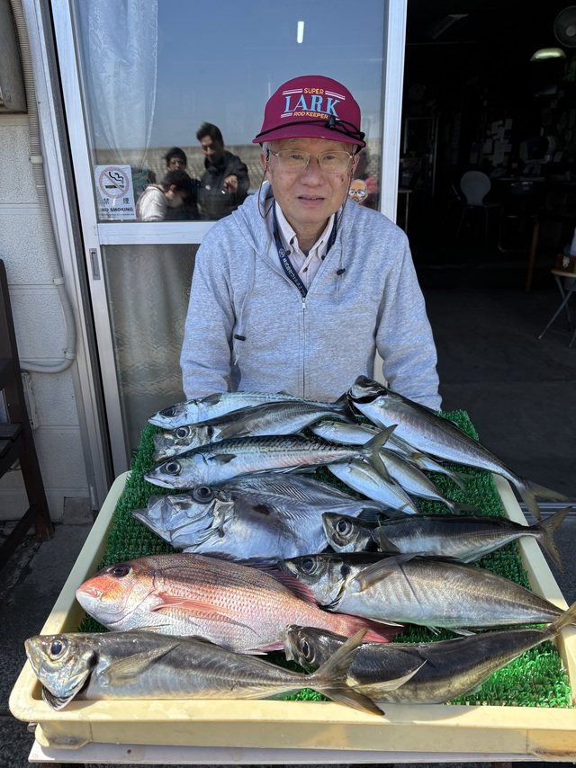 マダイ・アジ(マアジ)