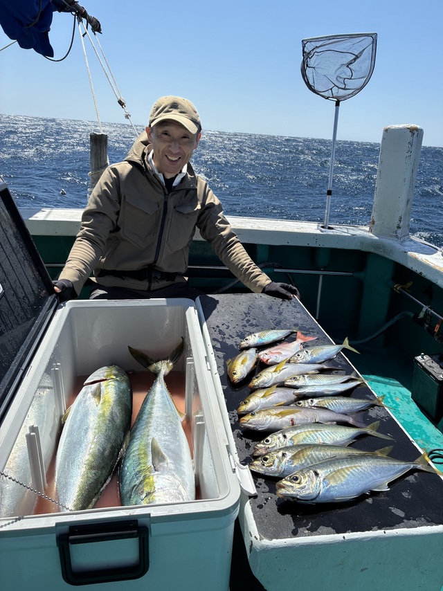 マダイ・マアジ・ブリ