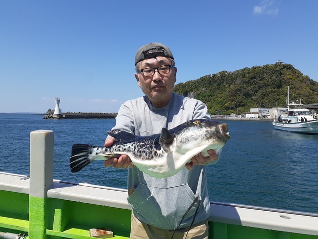 トラフグ