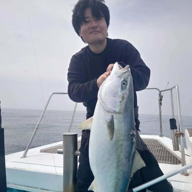 ヒラマサ