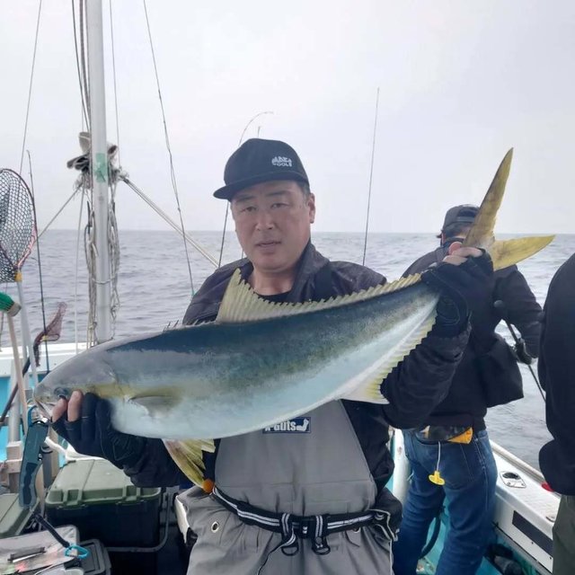 ヒラマサ