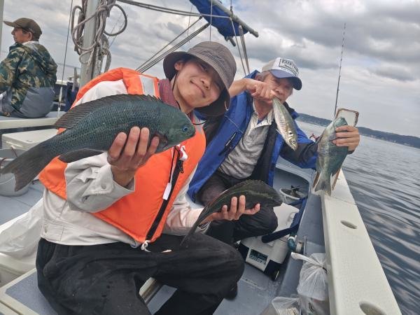 アジ(マアジ)・カイワリ・クロムツ