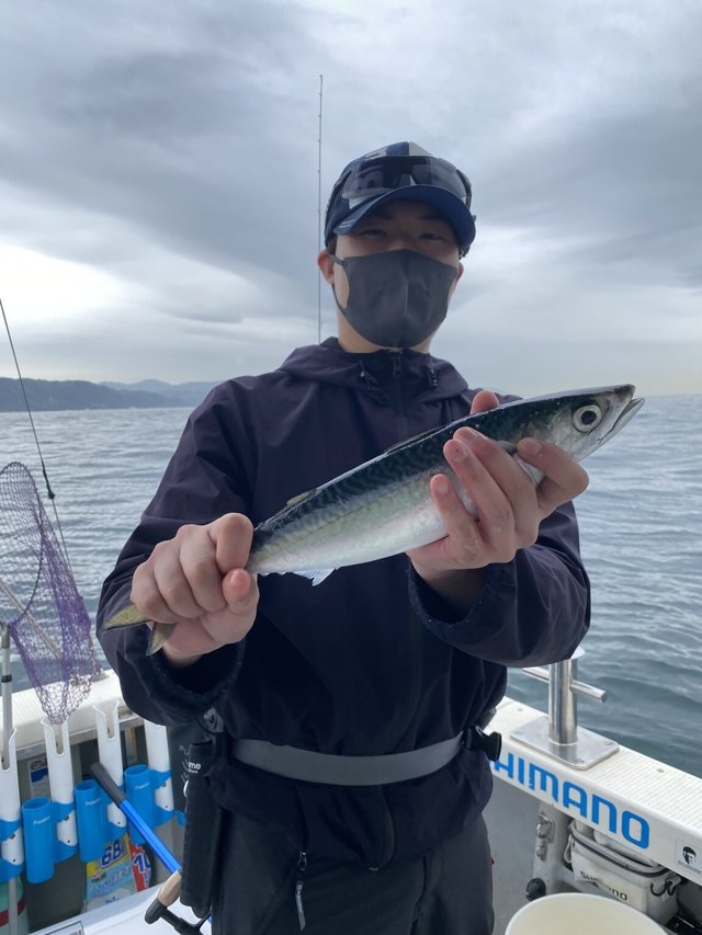 サバ(ゴマサバ)