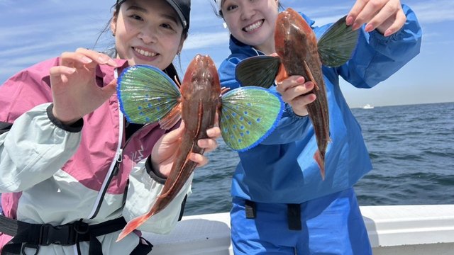 ホウボウ・トラフグの釣果写真