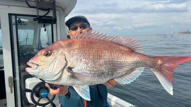 マダイの釣果写真