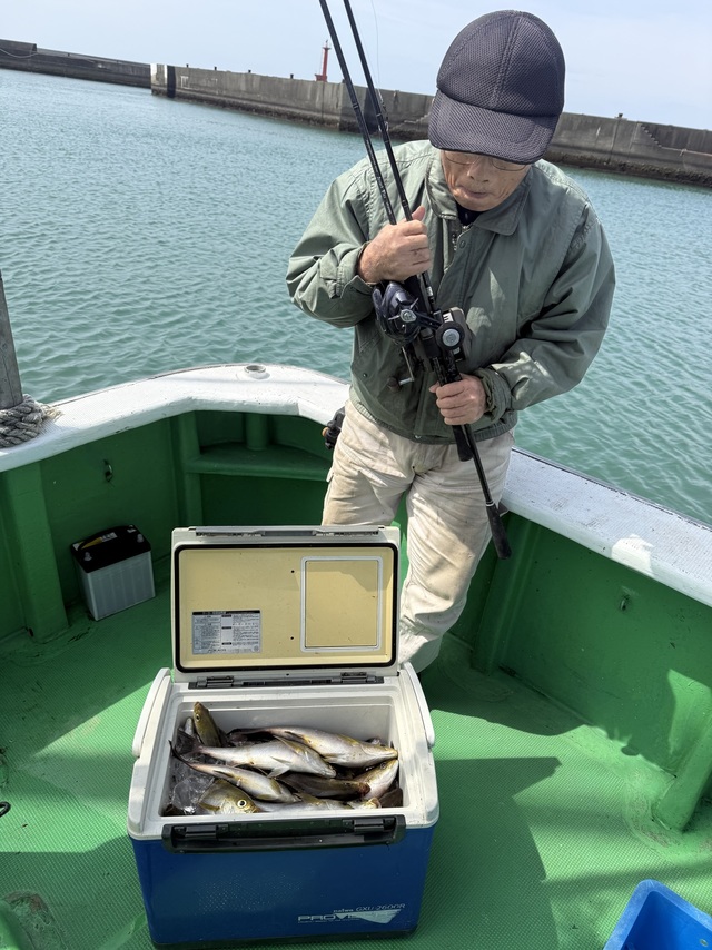 イサギ(イサキ)